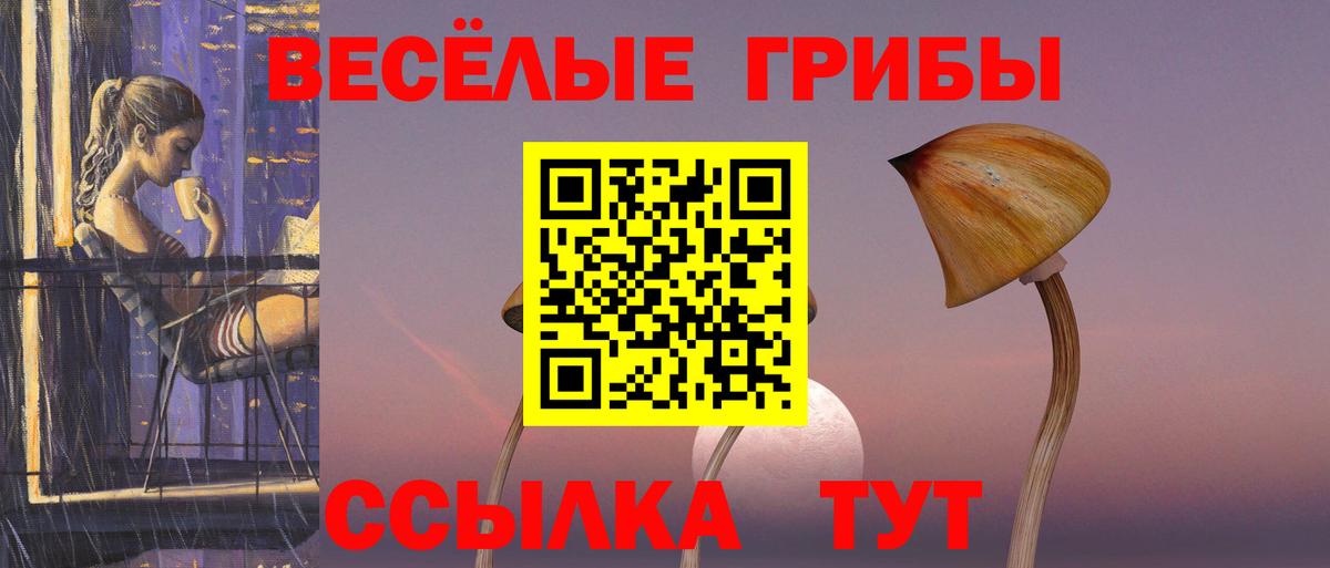 Галлюциногенные грибы Cubensis Пенза